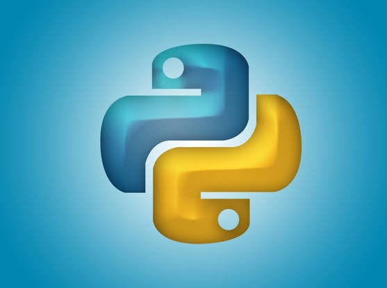 python project